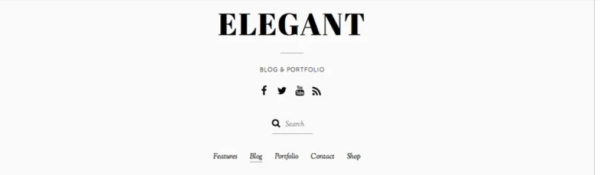 תבנית Elegant Pro