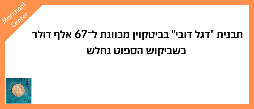תבנית דגל דובי בביטקוין מכוונת ל־67 אלף דולר כשביקוש הספוט נחלש